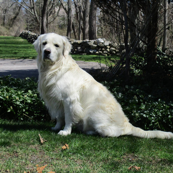 I'm Diane and this is Sylar, Welcome to Our Closet - Picture 1 of 1